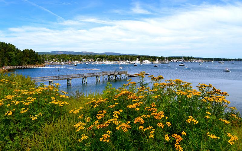 Southwest Harbor
