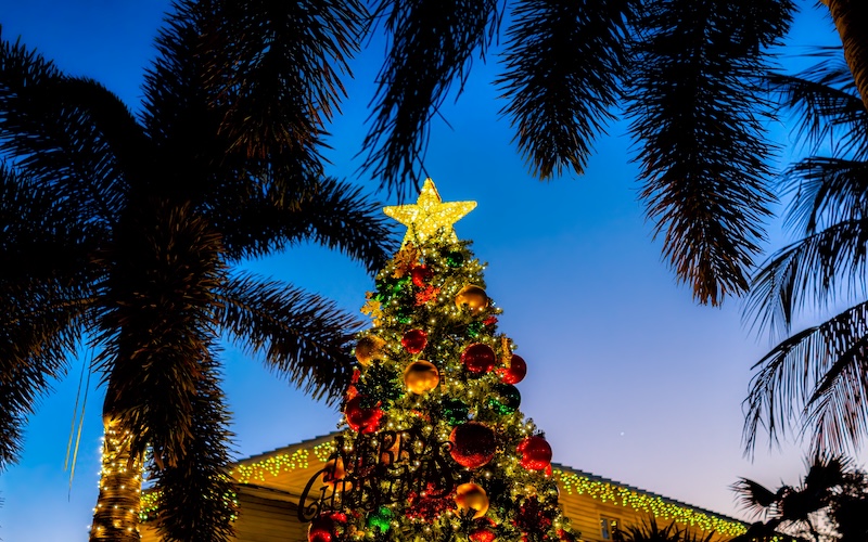 A decorated Christmas tree with a glowing star topper stands outdoors, surrounded by palm trees at dusk. The sky is deep blue and the house in the background is adorned with string lights—a festive highlight among things to do in Naples.
