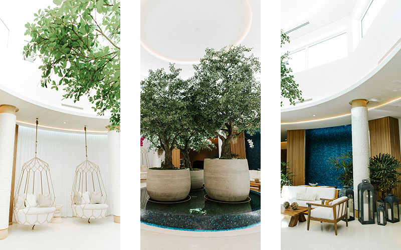 A contemporary indoor space with hanging egg chairs, potted trees in a circular water feature, and a seating area with sofas. The room features bright natural light, white walls, and wooden accents, creating a serene atmosphere.
