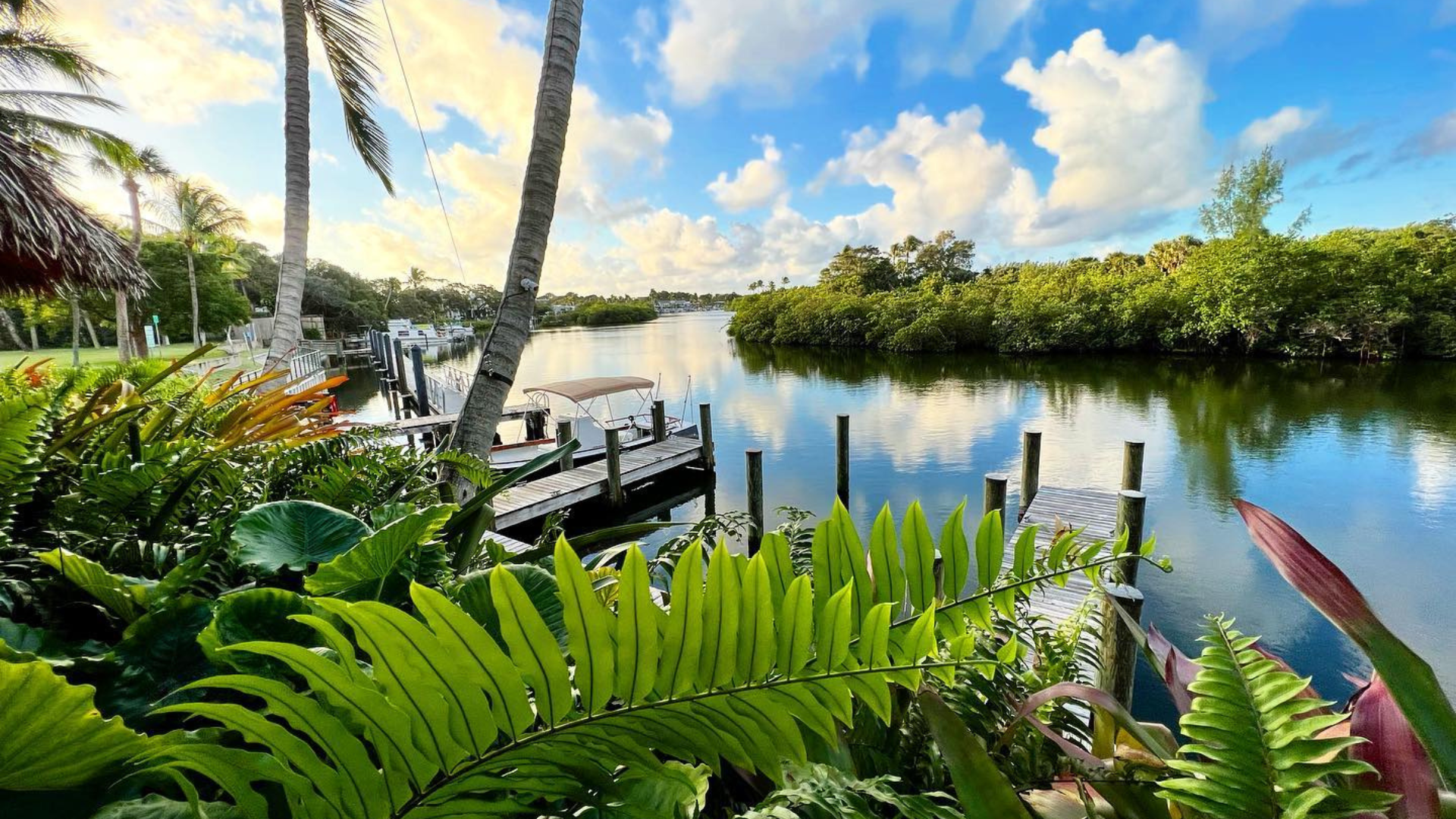 A serene river scene with lush green foliage in the foreground, a wooden dock leading into the calm water, and a bright blue sky with scattered clouds. Mangroves and palm trees line the riverbank, creating a tropical atmosphere.