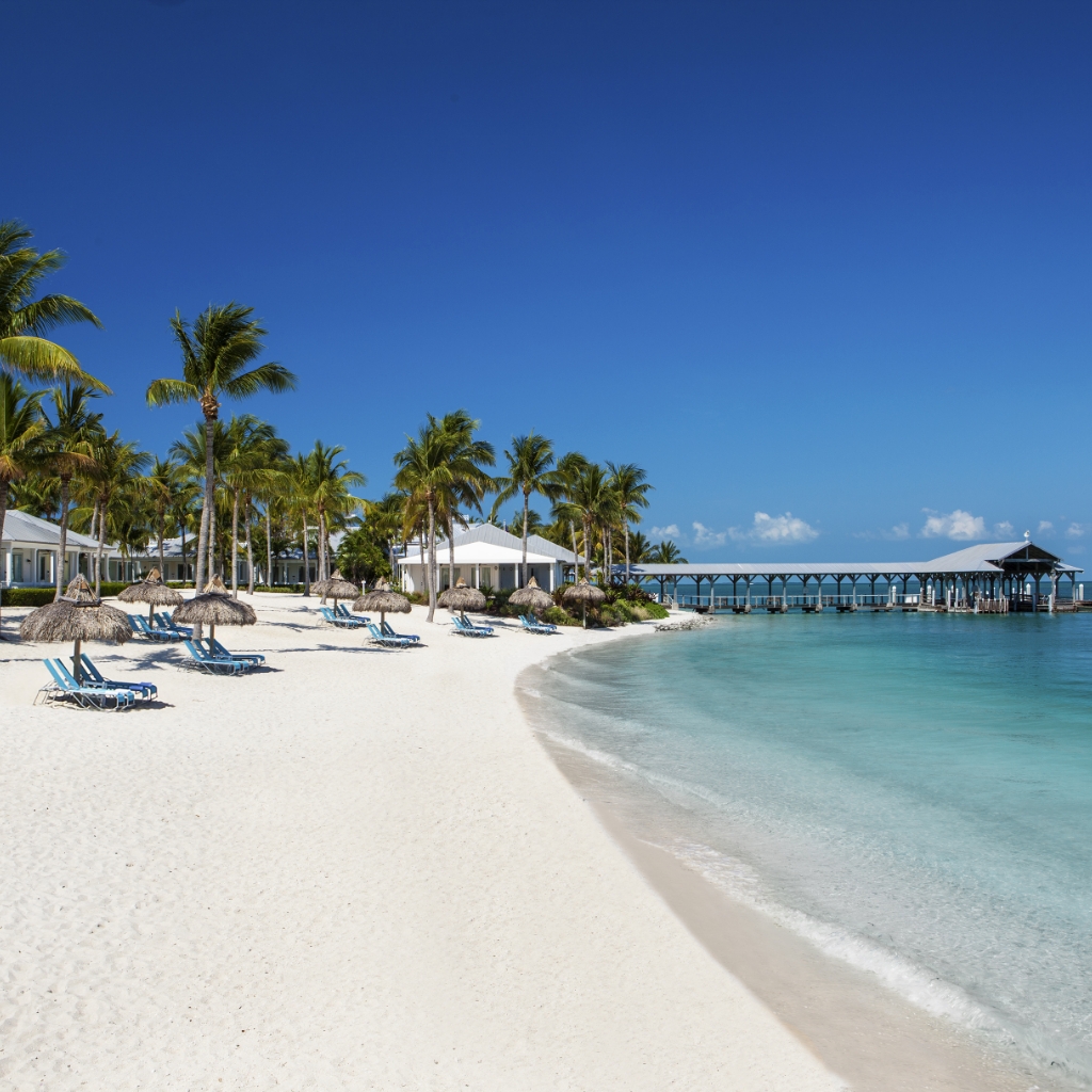 A tranquil beach scene featuring white sand, palm trees, and lounge chairs under straw umbrellas. The calm turquoise sea meets a clear blue sky, while a wooden pier extends into the water in the distance.