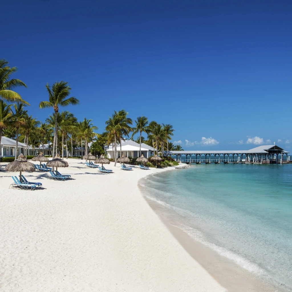 A tranquil beach scene featuring white sand, palm trees, and lounge chairs under straw umbrellas. The calm turquoise sea meets a clear blue sky, while a wooden pier extends into the water in the distance.