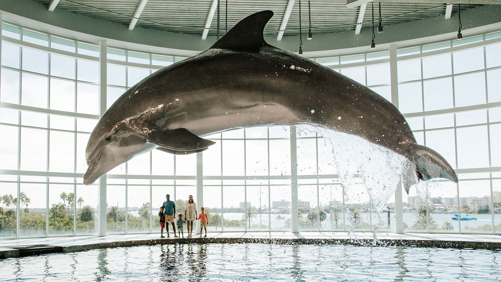 A large dolphin leaps through the air above an indoor pool, with sunlight streaming through the windows. Four people watch from the side, silhouetted against the bright windows overlooking a scenic waterfront.