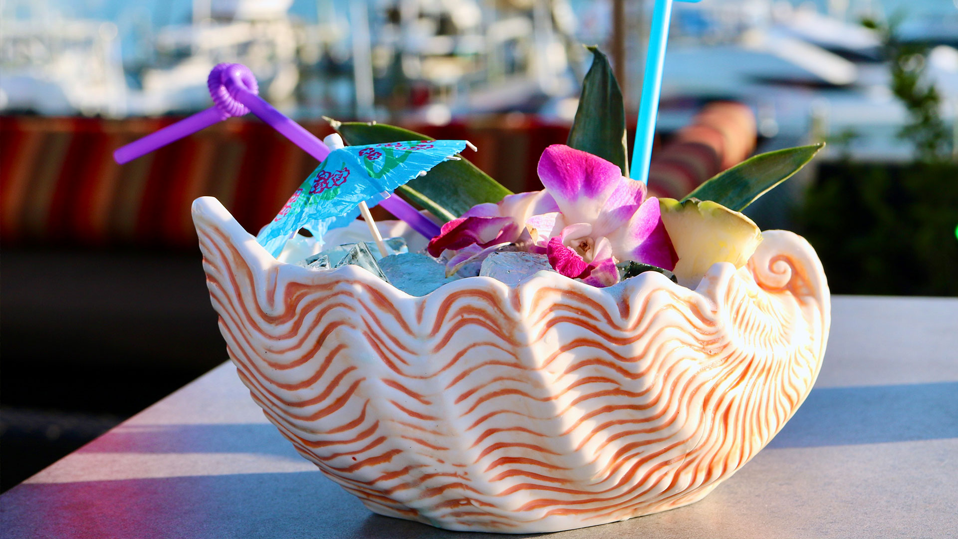 A creative shell glass at Bar Tiki.