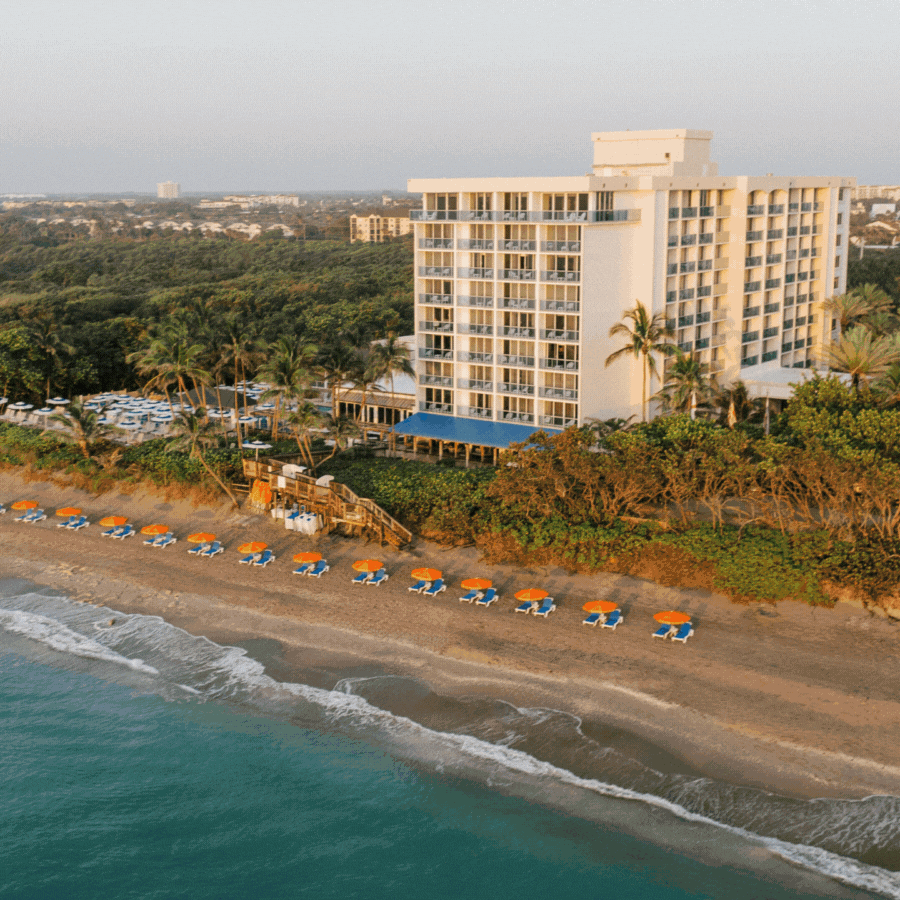 A tall beachfront hotel surrounded by palm trees overlooks a sandy beach lined with colorful lounge chairs and umbrellas, with gentle waves rolling in from the turquoise ocean.