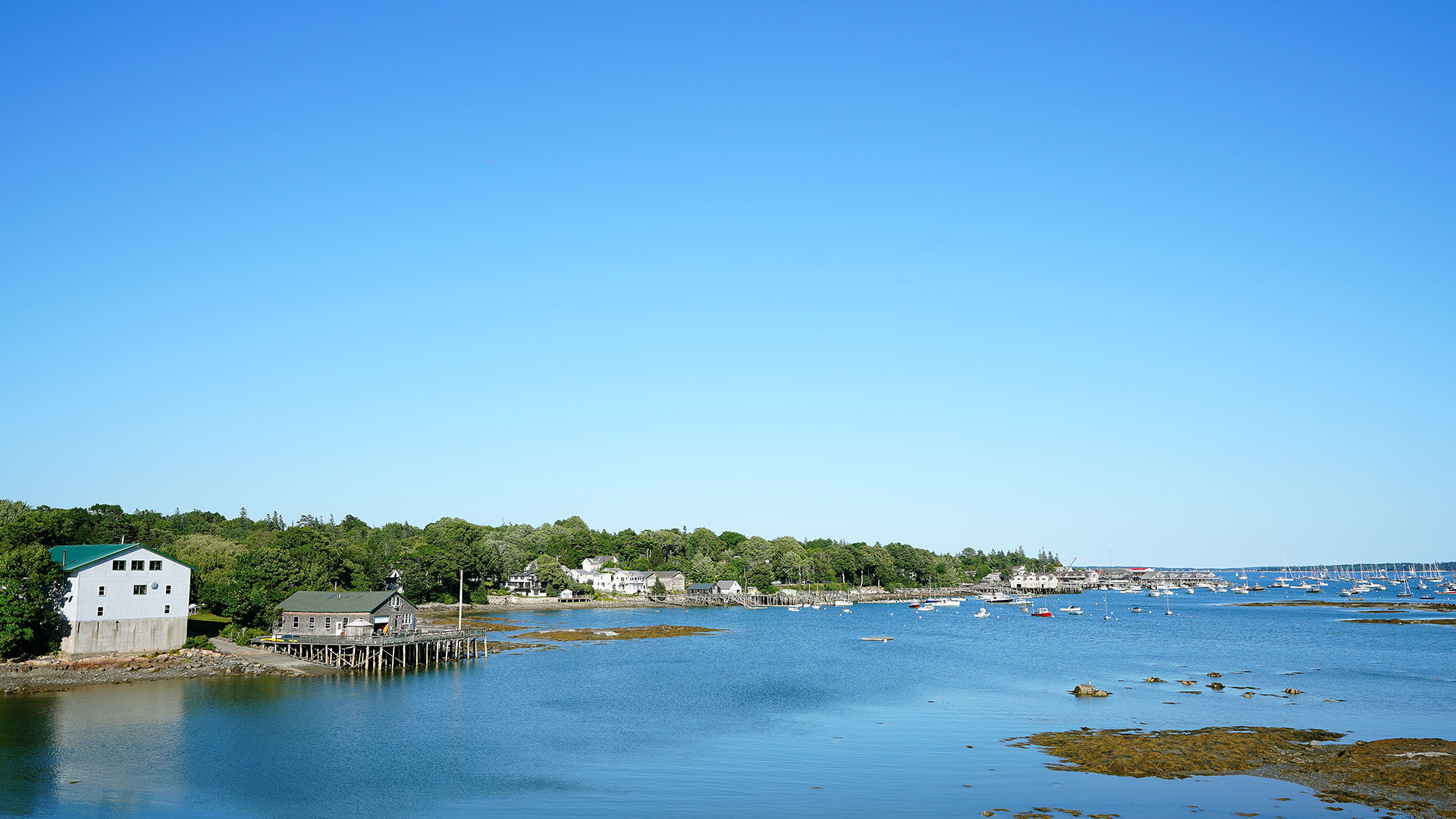 A coastal scene with calm blue water, boats anchored near the shore, green trees, and small houses lining the waterfront under a clear blue sky.