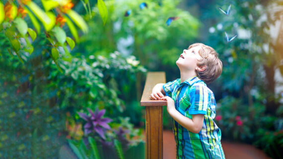 A young boy in a striped shirt stands on a wooden bridge in a lush garden, gazing up in wonder at blue butterflies fluttering nearby among green plants and colorful flowers.