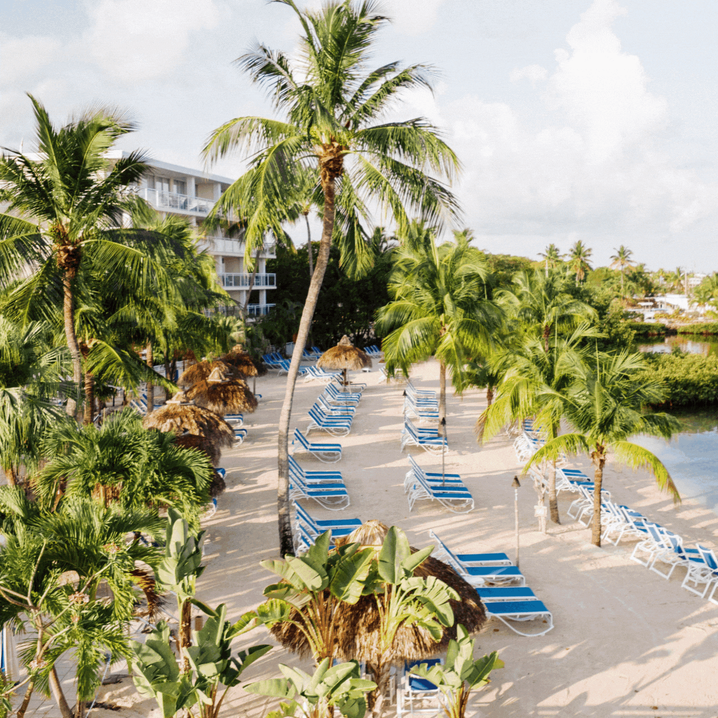 A sandy beach lined with empty blue lounge chairs and thatched umbrellas, surrounded by tall palm trees, with a hotel building and lush greenery in the background under a partly cloudy sky.