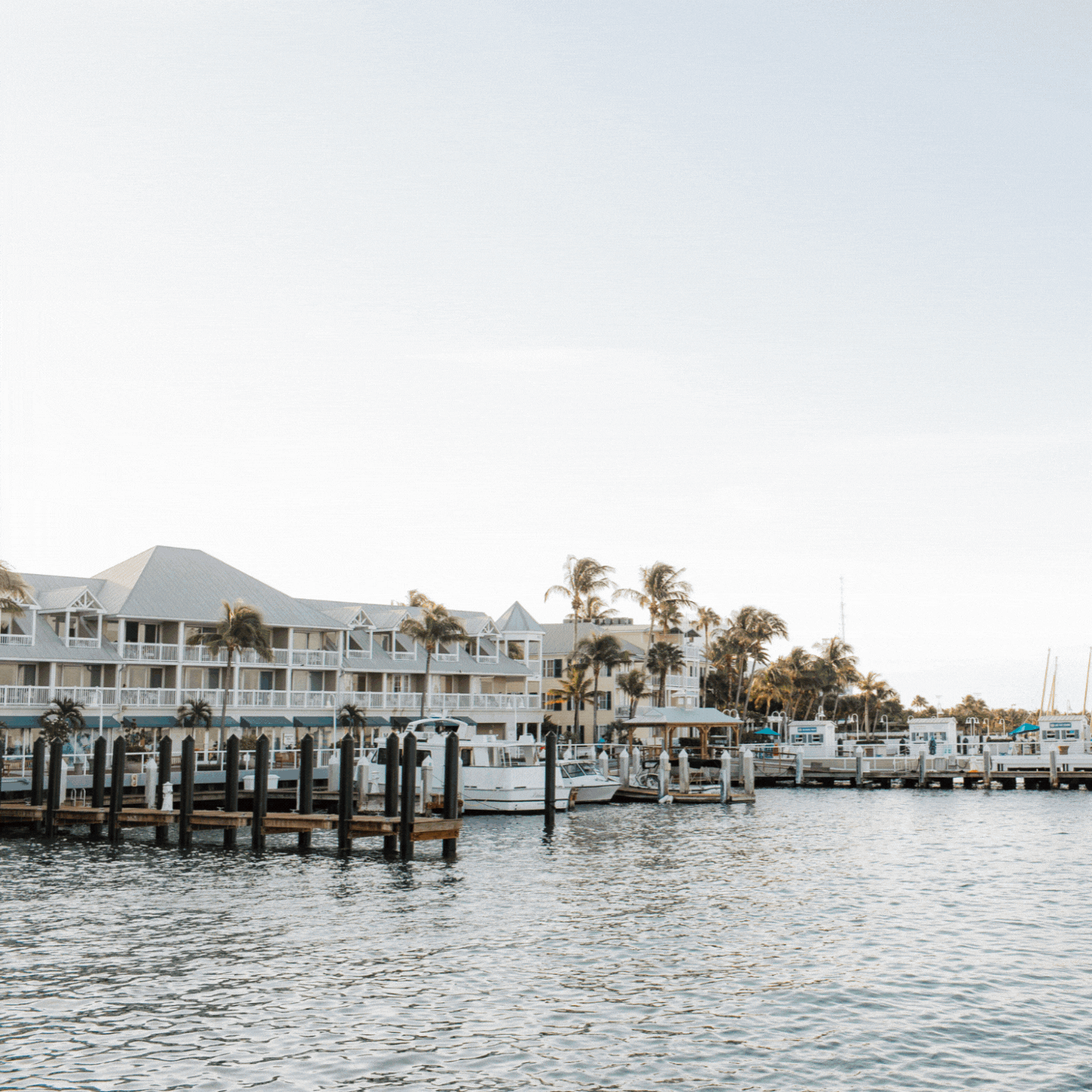 A marina with docked boats and waterfront buildings in the background, surrounded by palm trees under a clear sky. The water is calm and the scene looks peaceful and inviting.