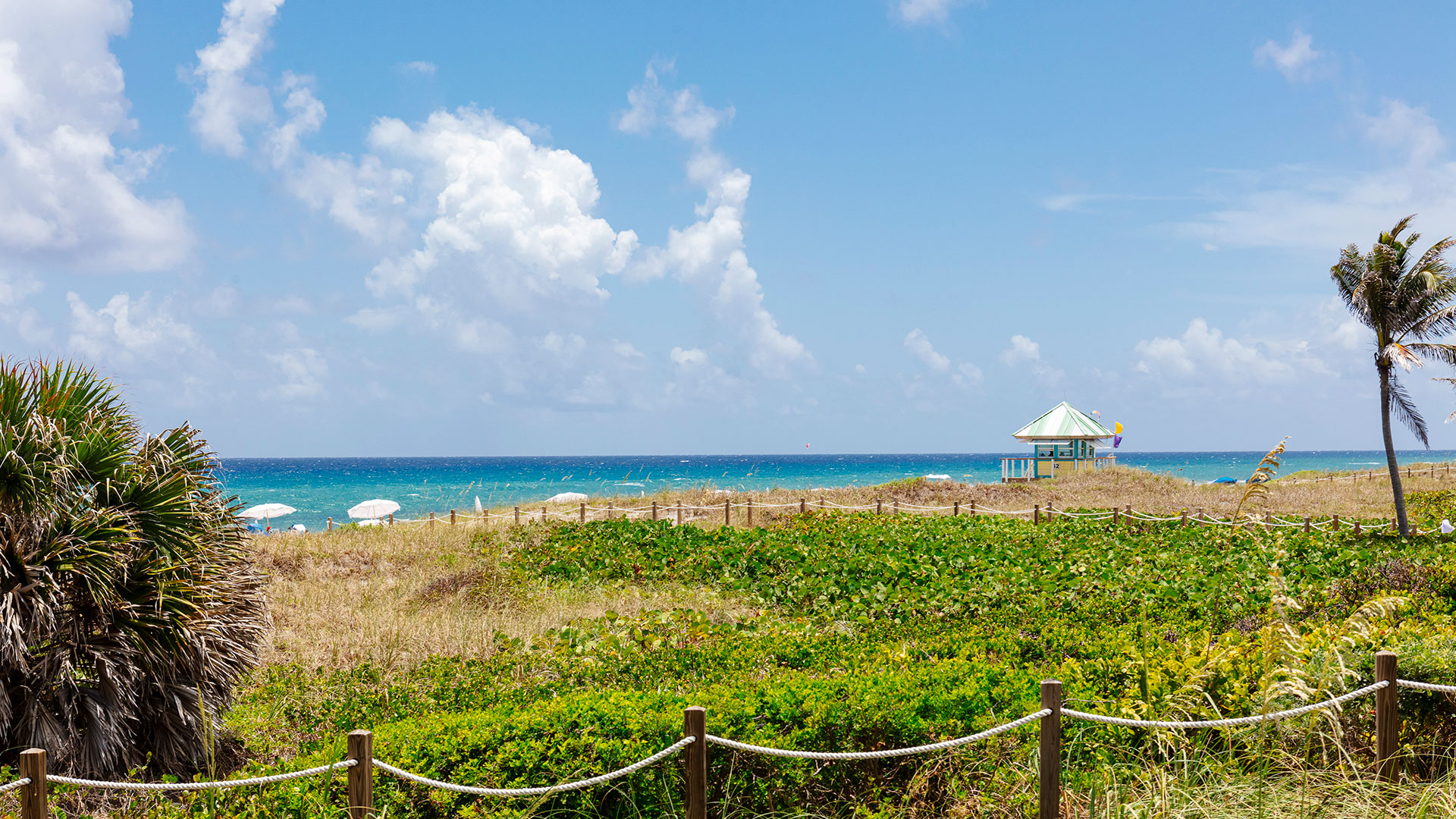 A sunny beach scene with green dunes, a wooden fence, white beach umbrellas, a lifeguard hut, and the blue ocean under a sky with scattered clouds. Palm trees are visible on the left and right.