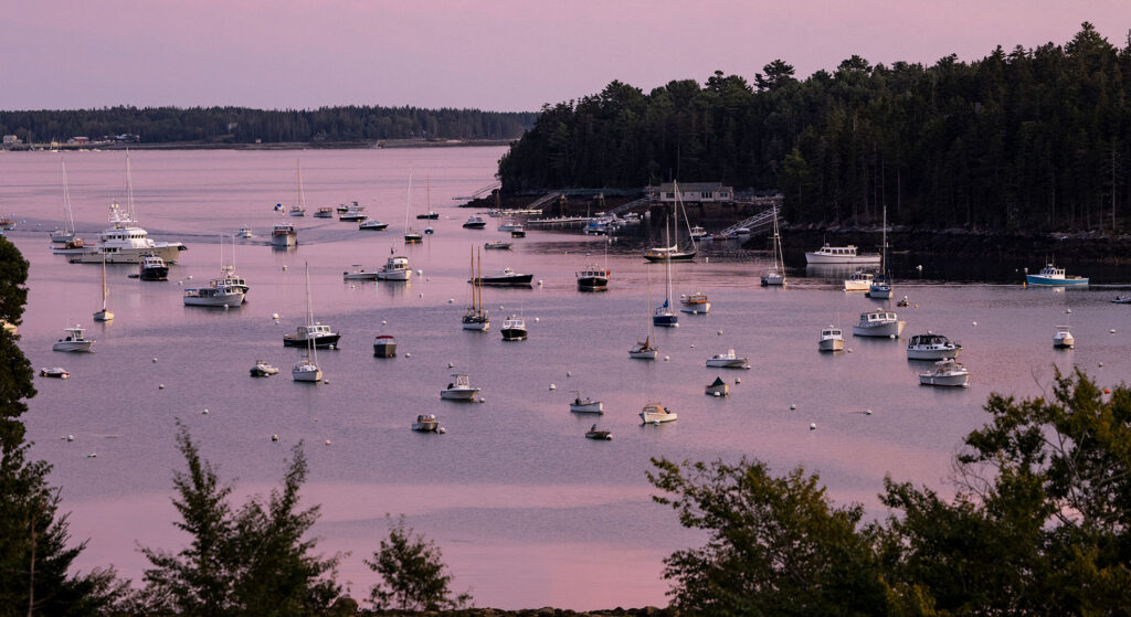 Boats anchored in a calm harbor at sunset, with a pink and purple sky reflecting on the water and dense forest lining the distant shore—this enchanting scene is just one of the highlights you’ll discover in our Northeast Harbor Guide: Best Activities & Attractions. Trees frame the view in the foreground, inviting you to experience all that this picturesque destination has to offer.