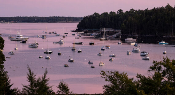 Boats anchored in a calm harbor at sunset, with a pink and purple sky reflecting on the water and dense forest lining the distant shore—this enchanting scene is just one of the highlights you’ll discover in our Northeast Harbor Guide: Best Activities & Attractions. Trees frame the view in the foreground, inviting you to experience all that this picturesque destination has to offer.