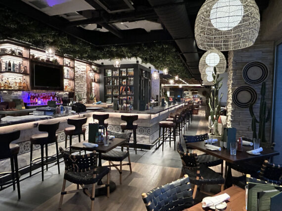 A modern, stylish restaurant with a long bar, high stools, hanging lights, plants, and wooden tables set for dining. Shelves with bottles and decorative elements add a cozy, inviting atmosphere.
