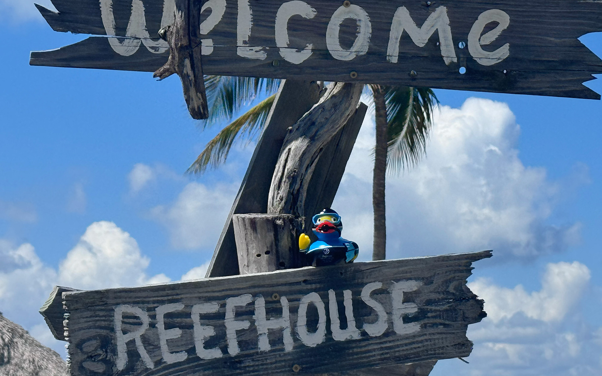 A weathered wooden sign reads WELCOME REEFHOUSE with a small rubber duck in scuba gear sitting on it. A palm tree and blue sky with clouds are in the background.
