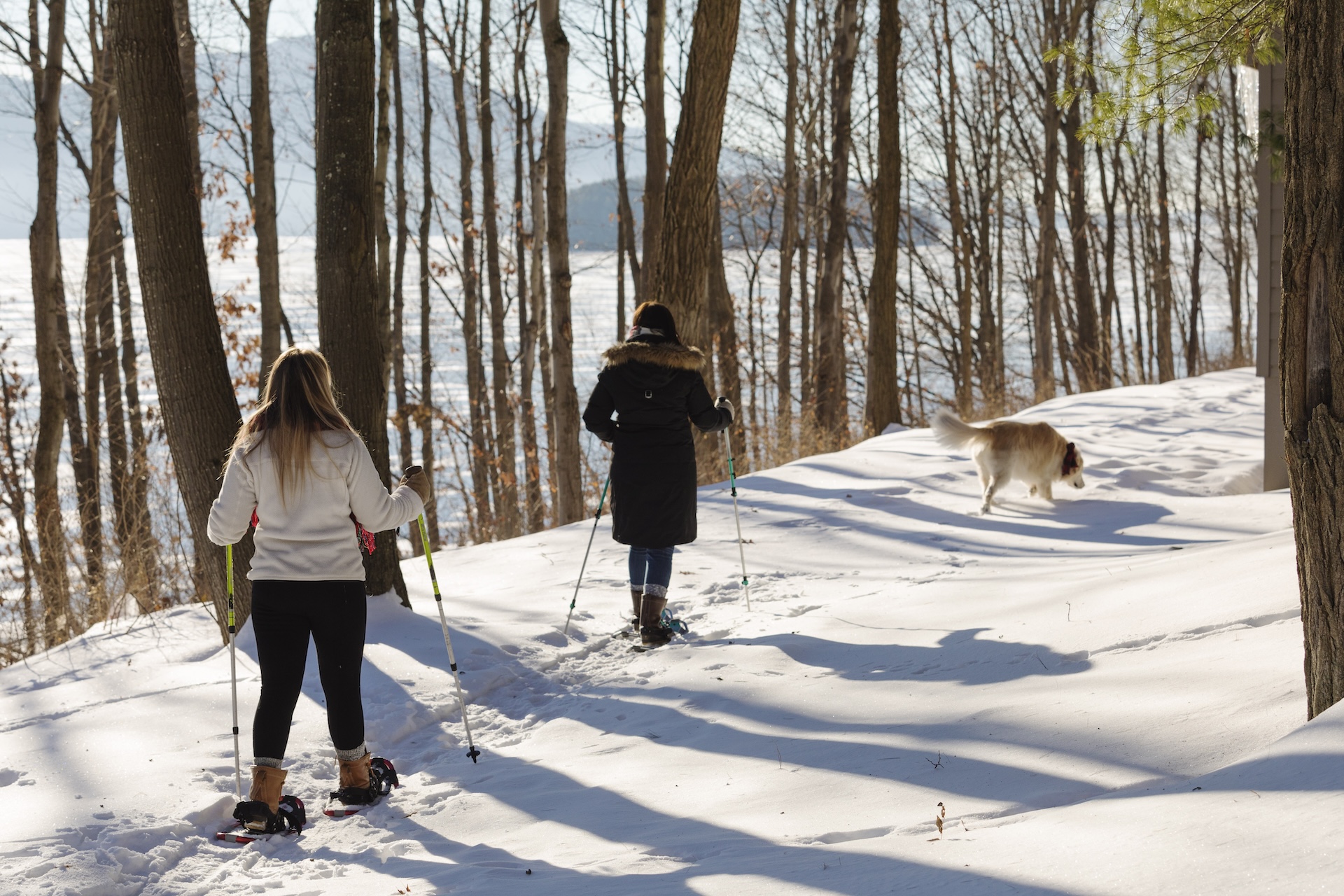 Two people in winter clothing walk through a snowy forest on snowshoes, using poles for support. A dog runs ahead of them, also on the snow-covered path. Sunlight filters through the trees, casting long shadows.