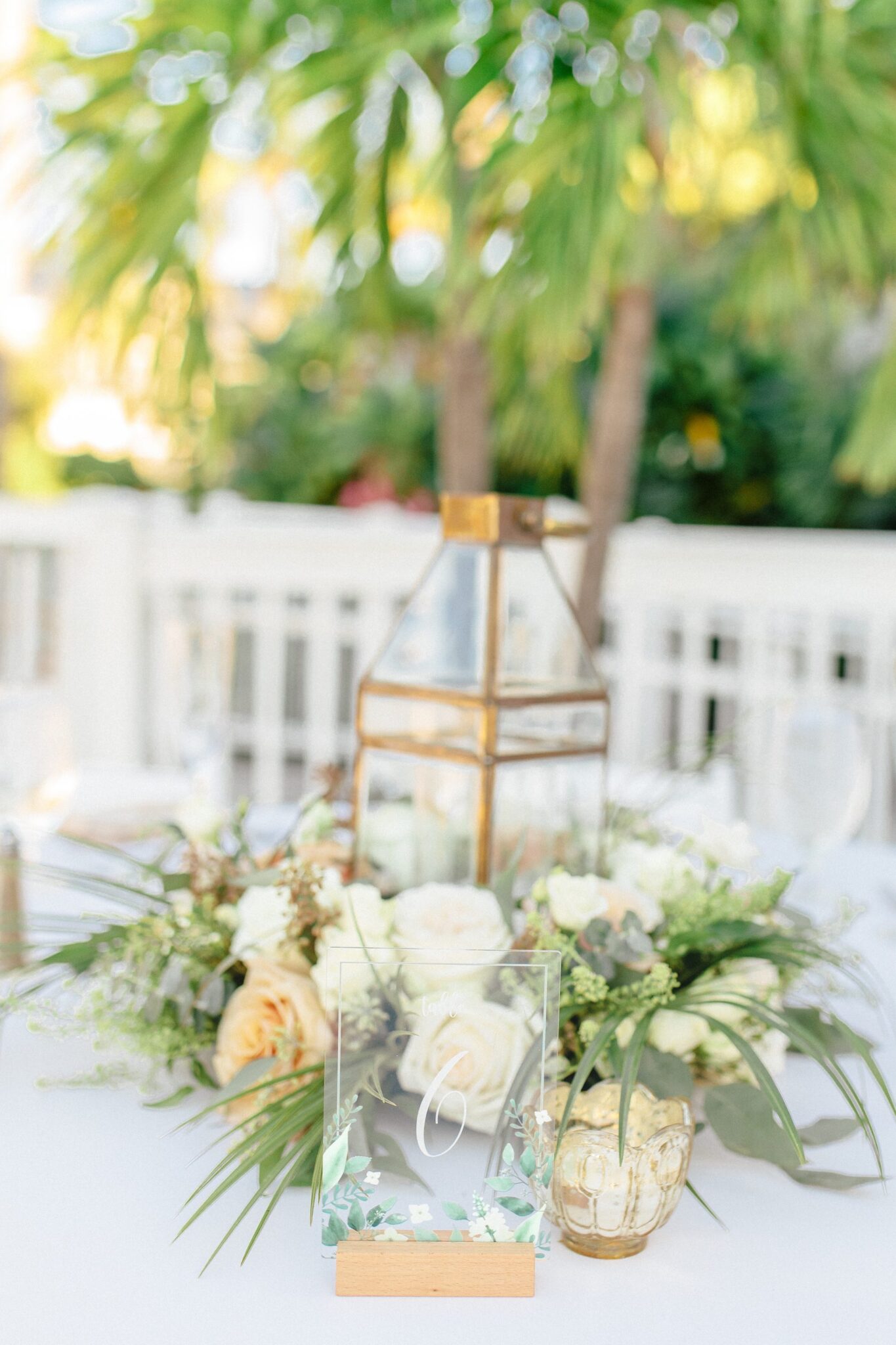 Gallery Archive | Opal Key Resort & Marina