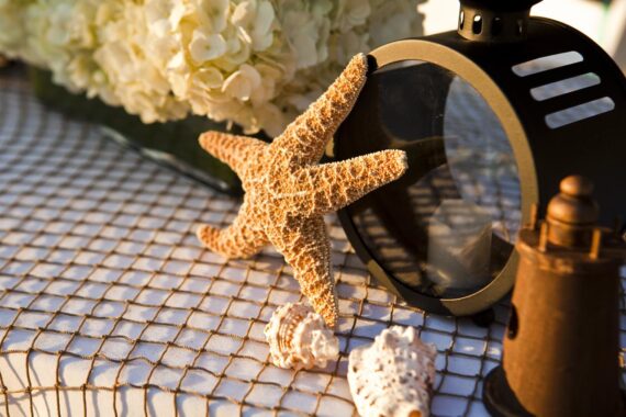 starfish on a table