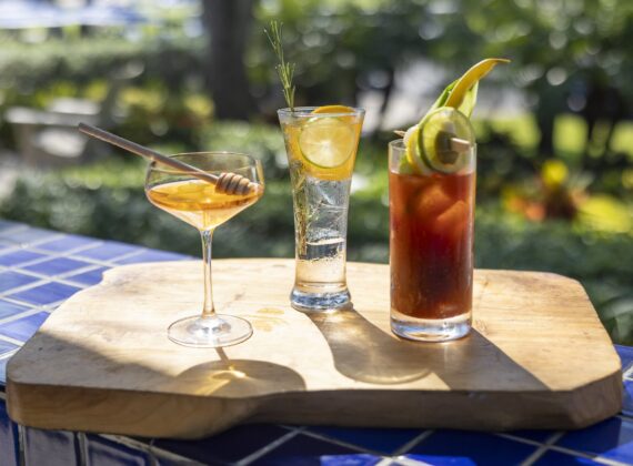 Three cocktails on a wooden board: one with honey dipper, another clear with lemon slices and herbs, and a third tall drink with dark liquid, lemon, and cucumber garnishes, set outdoors on a sunny day.