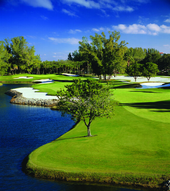 golf course close up with pond