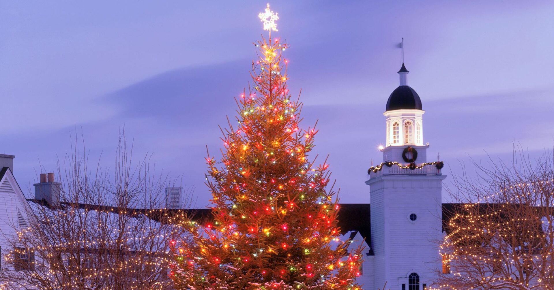 Winter Sagamore Exterior with Christmas Tree