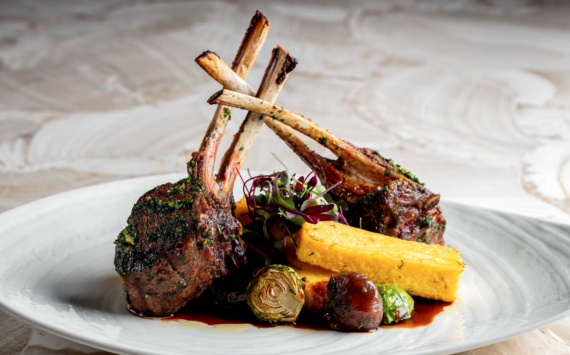 Two herb-crusted lamb chops arranged upright on a white plate, served with polenta, Brussels sprouts, grapes, microgreens, and a rich brown sauce.