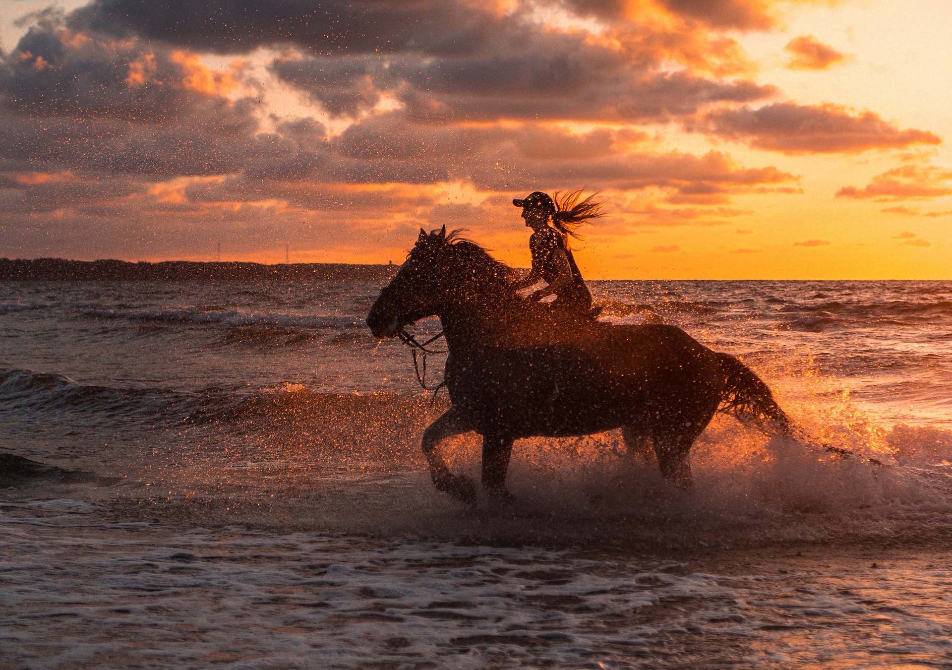 woman riding a horse at the beach during sunset