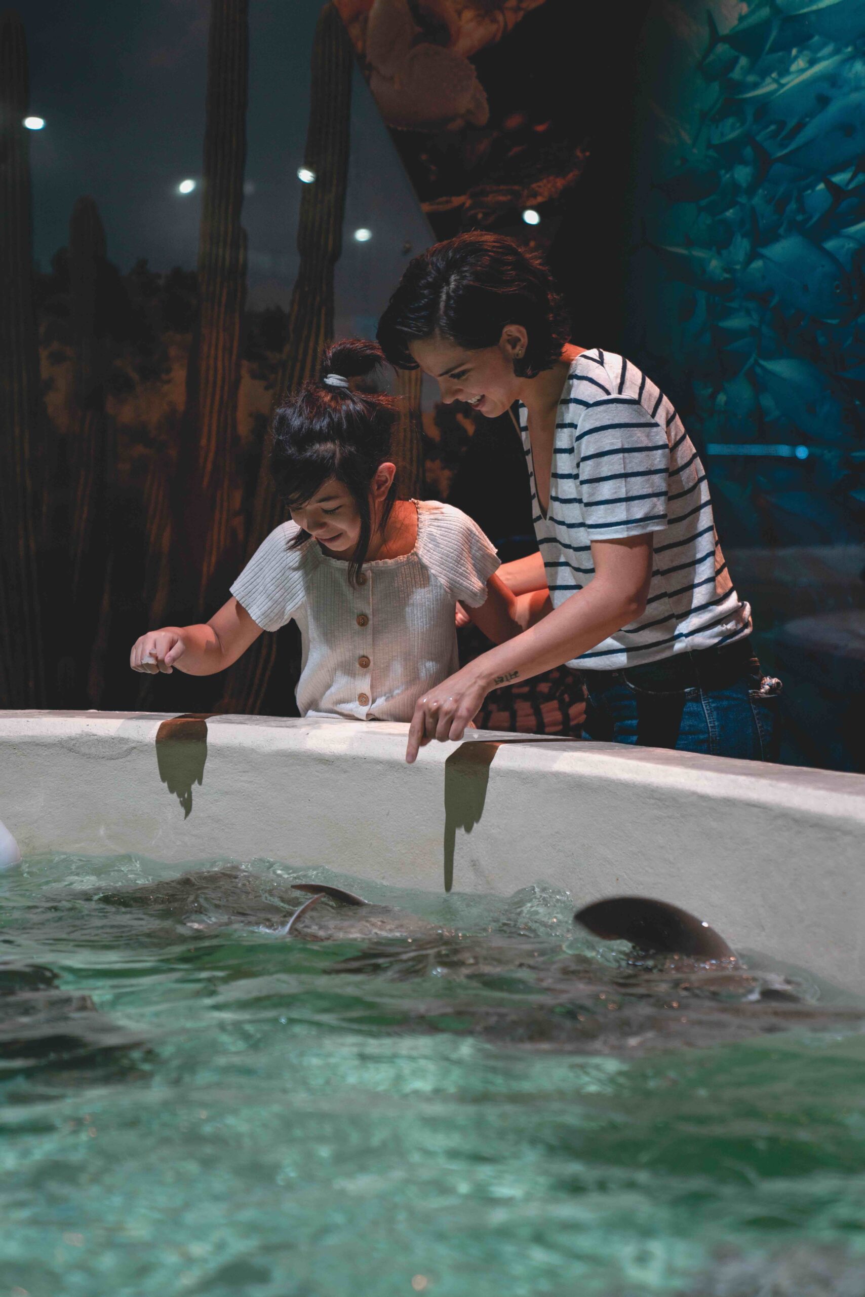 A woman and child smile while looking at and touching stingrays in a touch pool at an aquarium. Desert plants and fish can be seen in the background.
