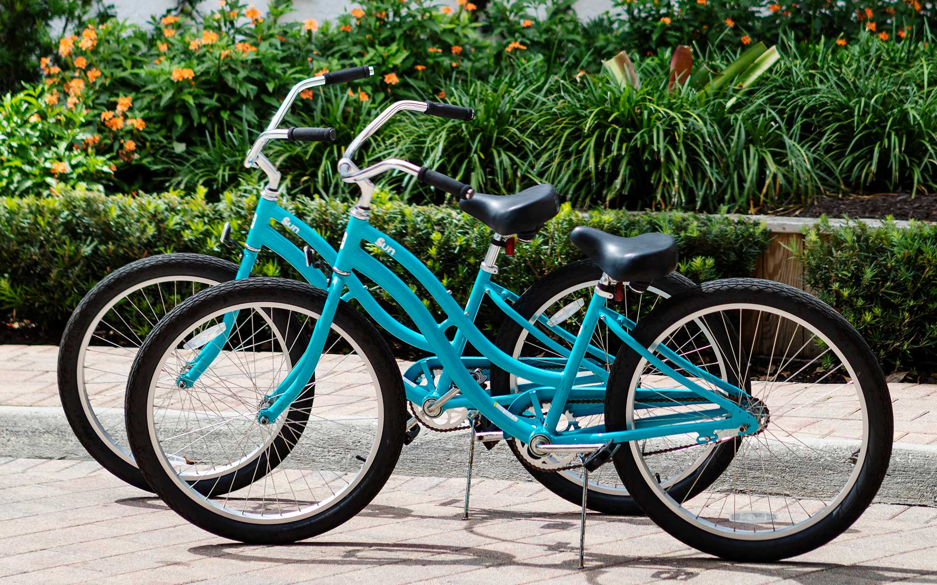Cruiser bicycles on the sidewalk.