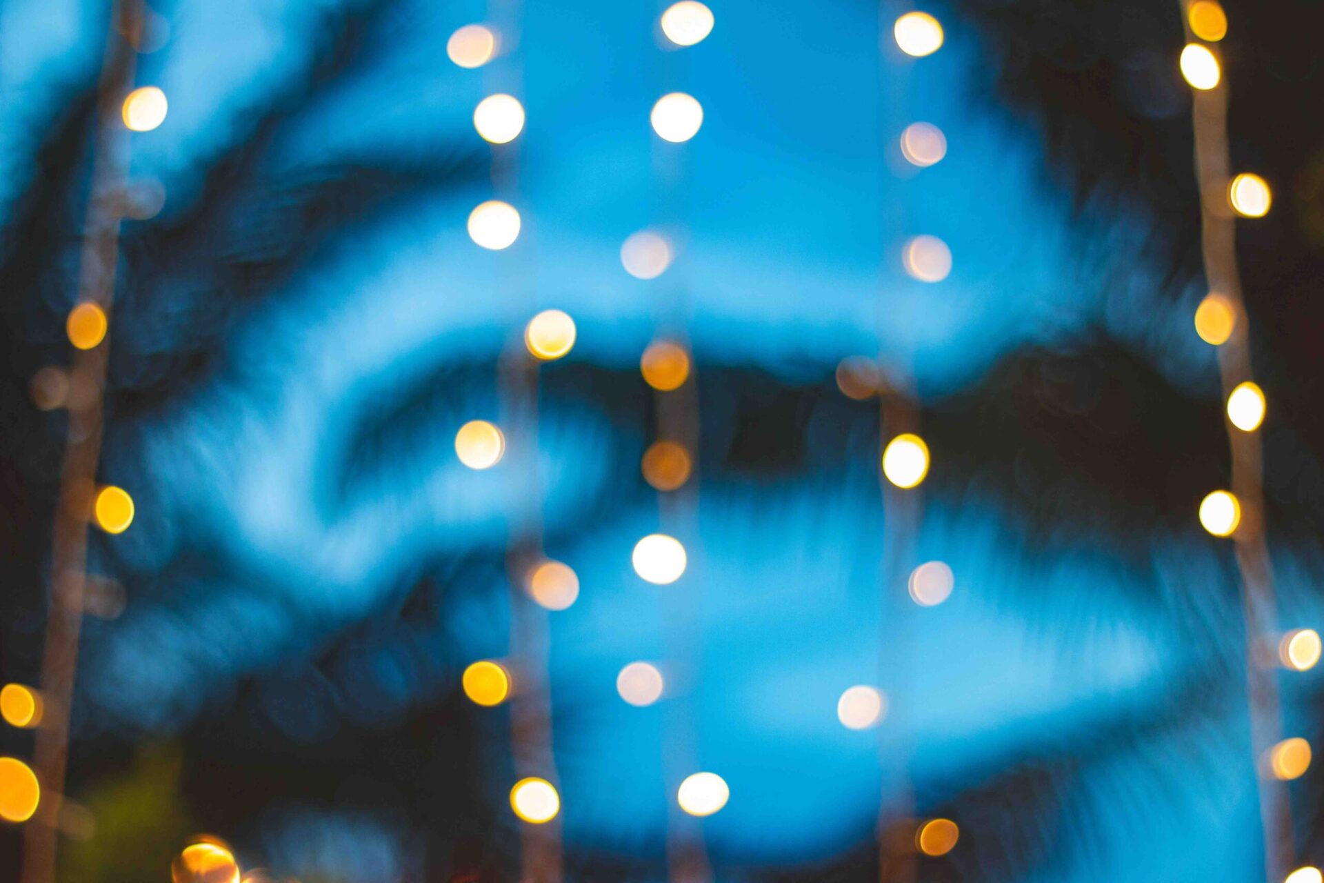 Vertical strings of glowing fairy lights against a blurred blue background.