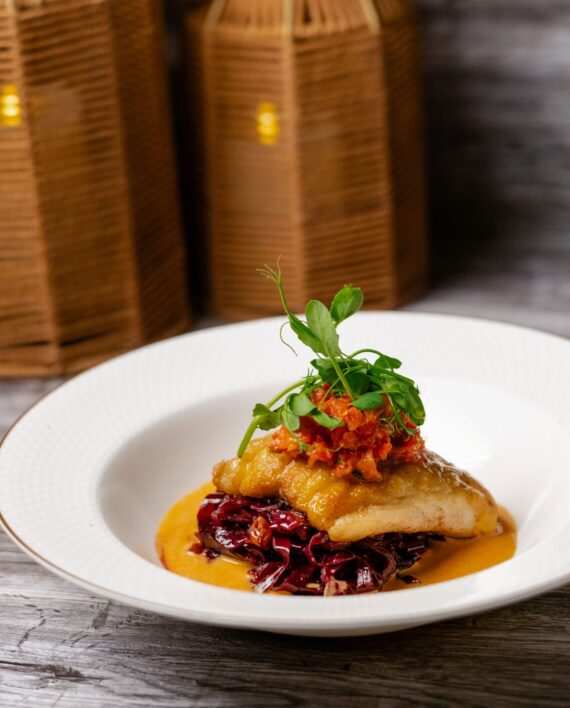 A plated gourmet dish featuring a seared fish fillet topped with microgreens and a tomato relish, served over braised red cabbage with a golden sauce, set on a white plate with wicker lanterns in the background.