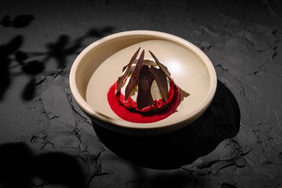 A round dessert in a beige bowl features dark chocolate shards atop a dome of cream, surrounded by a bright red sauce, set against a textured dark gray background.