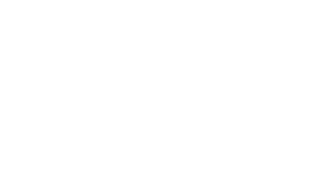 The image features the word Dahlias written in elegant, light cursive script on a very pale, almost white background, making the text appear subtle and delicate.