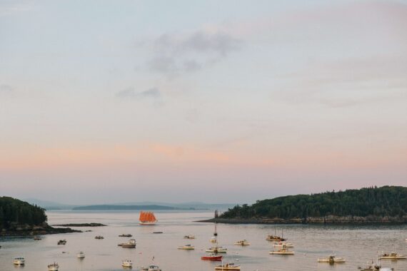 The view of boats bobbing in the harbor of Frenchman Bay.