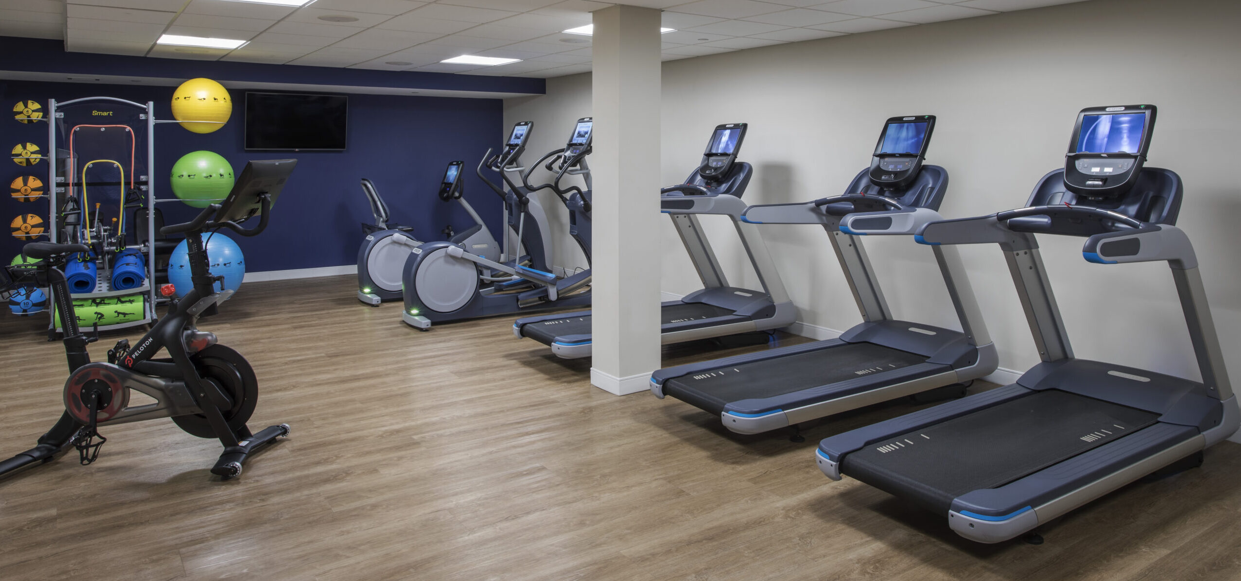 gym treadmills and other machines