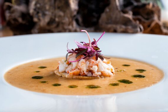 lobster bisque